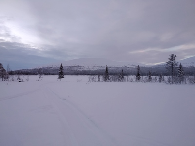Vuontisjärvi