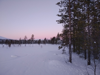 Kaamoksen valoa